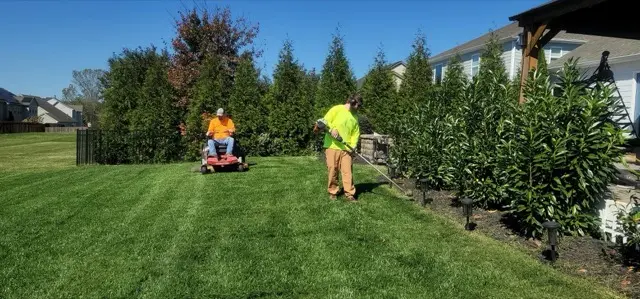 Lawn & Landscaping